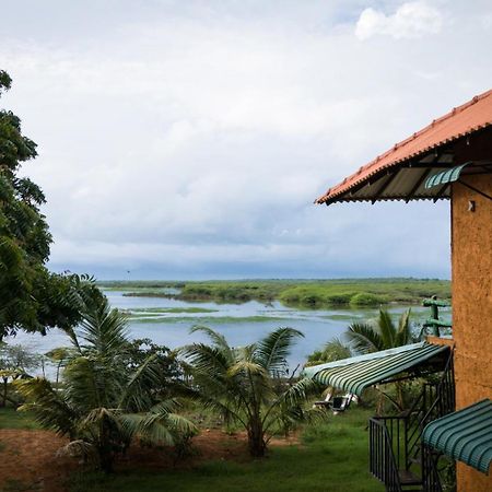 Bundala Flamingo Cotteges Hotel Hambantota Exterior foto