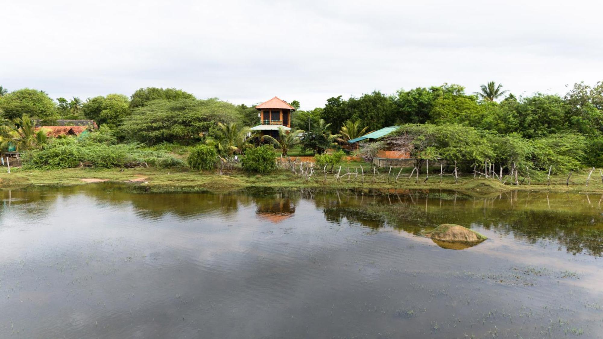 Bundala Flamingo Cotteges Hotel Hambantota Exterior foto